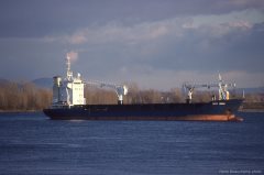 Thumbnail Image for Mint Brisk oncontextmenu=