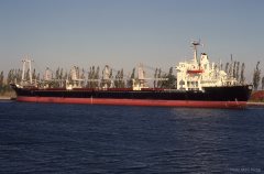 Thumbnail Image for Snowrose oncontextmenu=