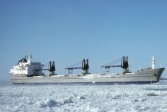 Thumbnail Image for Arctic Skou oncontextmenu=