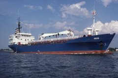 Thumbnail Image for Bison oncontextmenu=