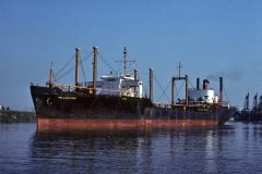 Thumbnail Image for Yellowstone