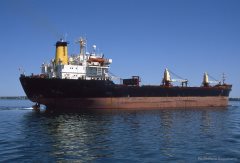 Thumbnail Image for Lynx