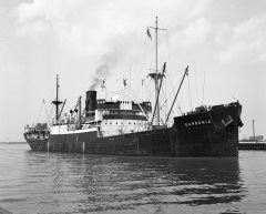 Thumbnail Image for Gardenia oncontextmenu=