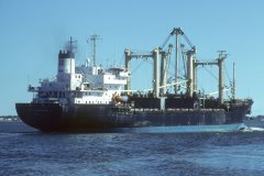 Thumbnail Image for Pyotr Aleynikov oncontextmenu=