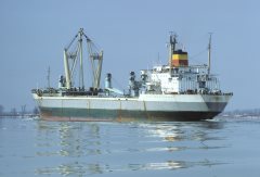 Thumbnail Image for Zebra oncontextmenu=