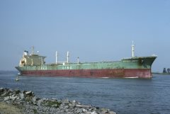 Thumbnail Image for African Addax oncontextmenu=