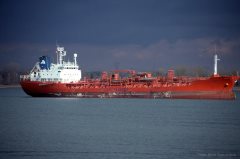 Thumbnail Image for Jo Palm oncontextmenu=