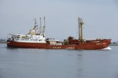 Thumbnail Image for Chesley A. Crosbie oncontextmenu=