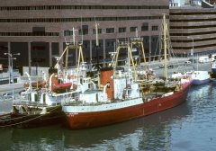 Thumbnail Image for Polar Explorer oncontextmenu=