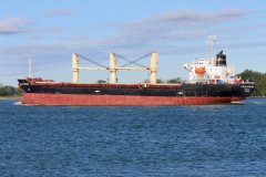 Thumbnail Image for African Jacaranda oncontextmenu=