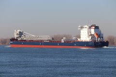 Thumbnail Image for Algoma Intrepid