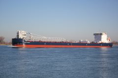 Thumbnail Image for Algoma Intrepid