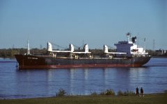 Thumbnail Image for Beta Fortune oncontextmenu=