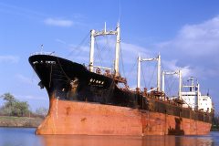 Thumbnail Image for Diana