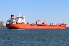 Thumbnail Image for Algoterra oncontextmenu=