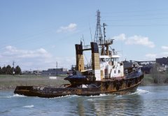 Thumbnail Image for Anglian Lady