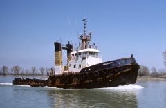 Thumbnail Image for Anglian Lady