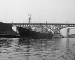 Thumbnail Image for Gloria oncontextmenu=