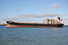 Thumbnail Image for Aruba Pearl oncontextmenu=