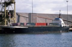 Thumbnail Image for Gazelle