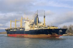 Thumbnail Image for Maisi