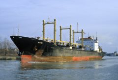 Thumbnail Image for Maisi