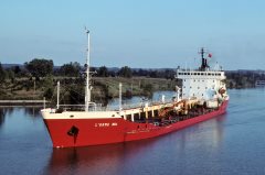 Thumbnail Image for L'orme No. 1