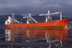 Thumbnail Image for Bergen Luna