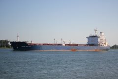 Thumbnail Image for Bahri Tulip oncontextmenu=