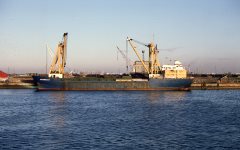 Thumbnail Image for Mirabella