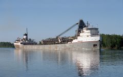 Thumbnail Image for Saginaw