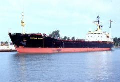 Thumbnail Image for Kapitonas Reutov oncontextmenu=