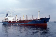 Thumbnail Image for Kilchem Caribbean