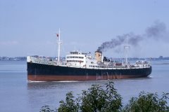 Thumbnail Image for Mar-Negro