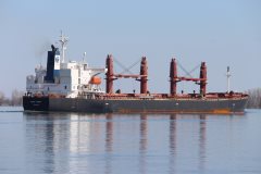 Thumbnail Image for Bulk Spirit oncontextmenu=