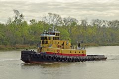 Thumbnail Image for Florida