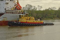 Thumbnail Image for Florida