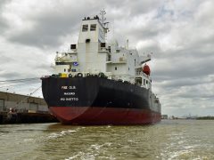 Thumbnail Image for Pine Olia oncontextmenu=