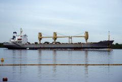 Thumbnail Image for Veruda