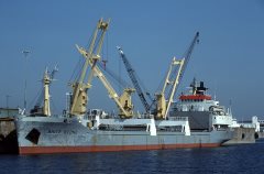 Thumbnail Image for White Stone