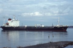 Thumbnail Image for Yusup K.