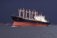 Thumbnail Image for Areito