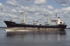 Thumbnail Image for Avramesti