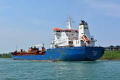 Thumbnail Image for Patalya oncontextmenu=