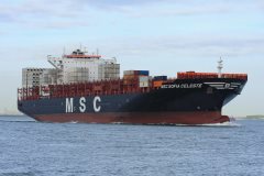 Thumbnail Image for MSC Sofia Celeste