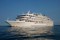 Thumbnail Image for Pearl Mist