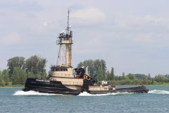 Thumbnail Image for Caroline McKee