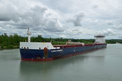 Thumbnail Image for Algoma Strongfield oncontextmenu=