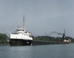 Thumbnail Image for Portadoc