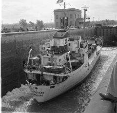 Thumbnail Image for Hildegard